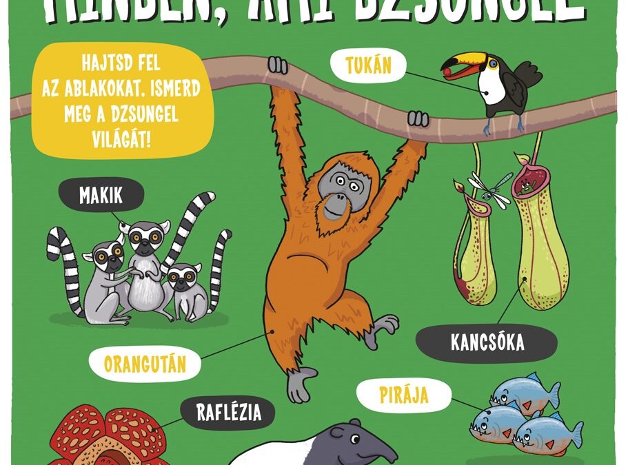 Kis felfedezők - Minden, ami dzsungel - Micimaci Gyermekkönyvek